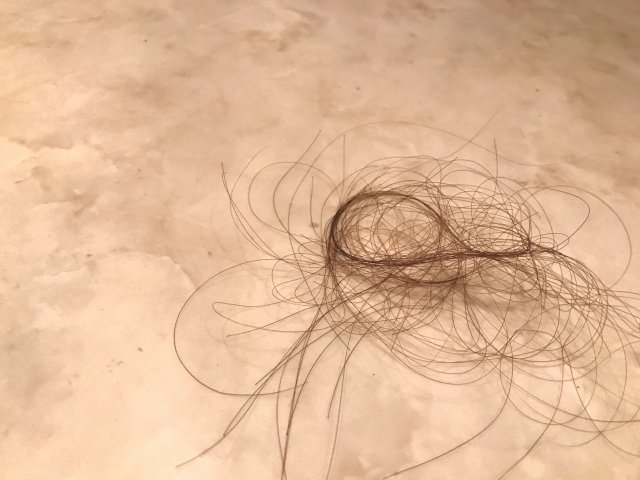 綺麗にしたフローリングに髪の毛！？おすすめの掃除方法！
